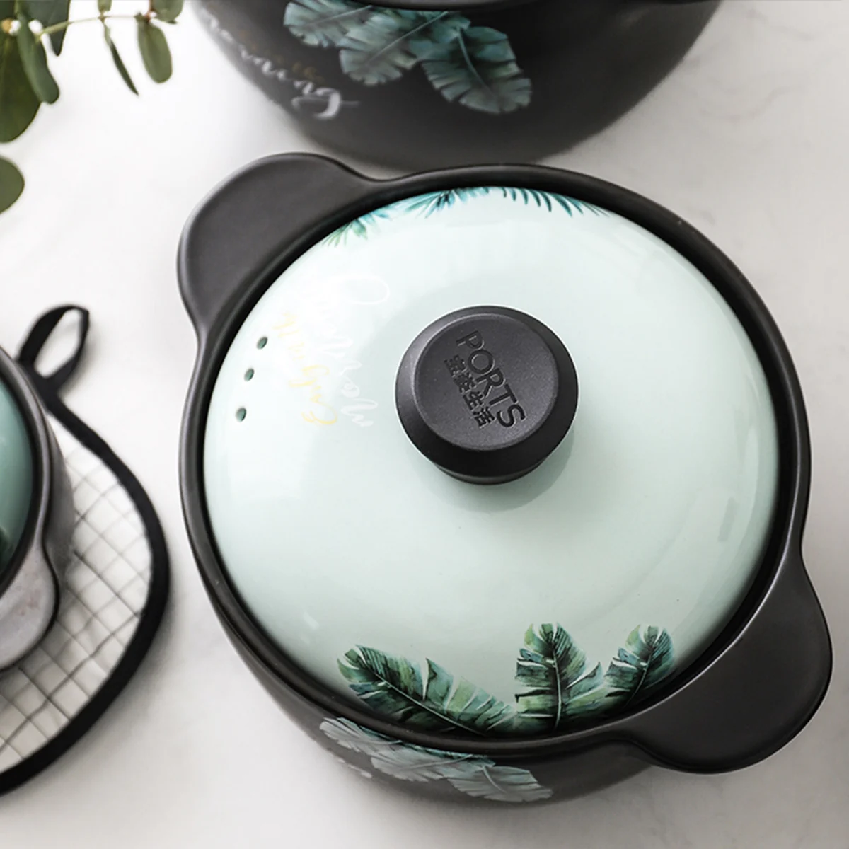 Becware 养生陶瓷煲 陶瓷砂锅 优质陶瓷无涂层 蓄热保温 热带雨林 3L