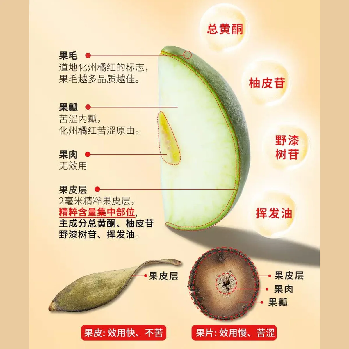 【中国直邮，时效7-15天】百橘源 正宗有机化橘红皮果皮金胎6号1mm 香醇回甘日常滋补30g