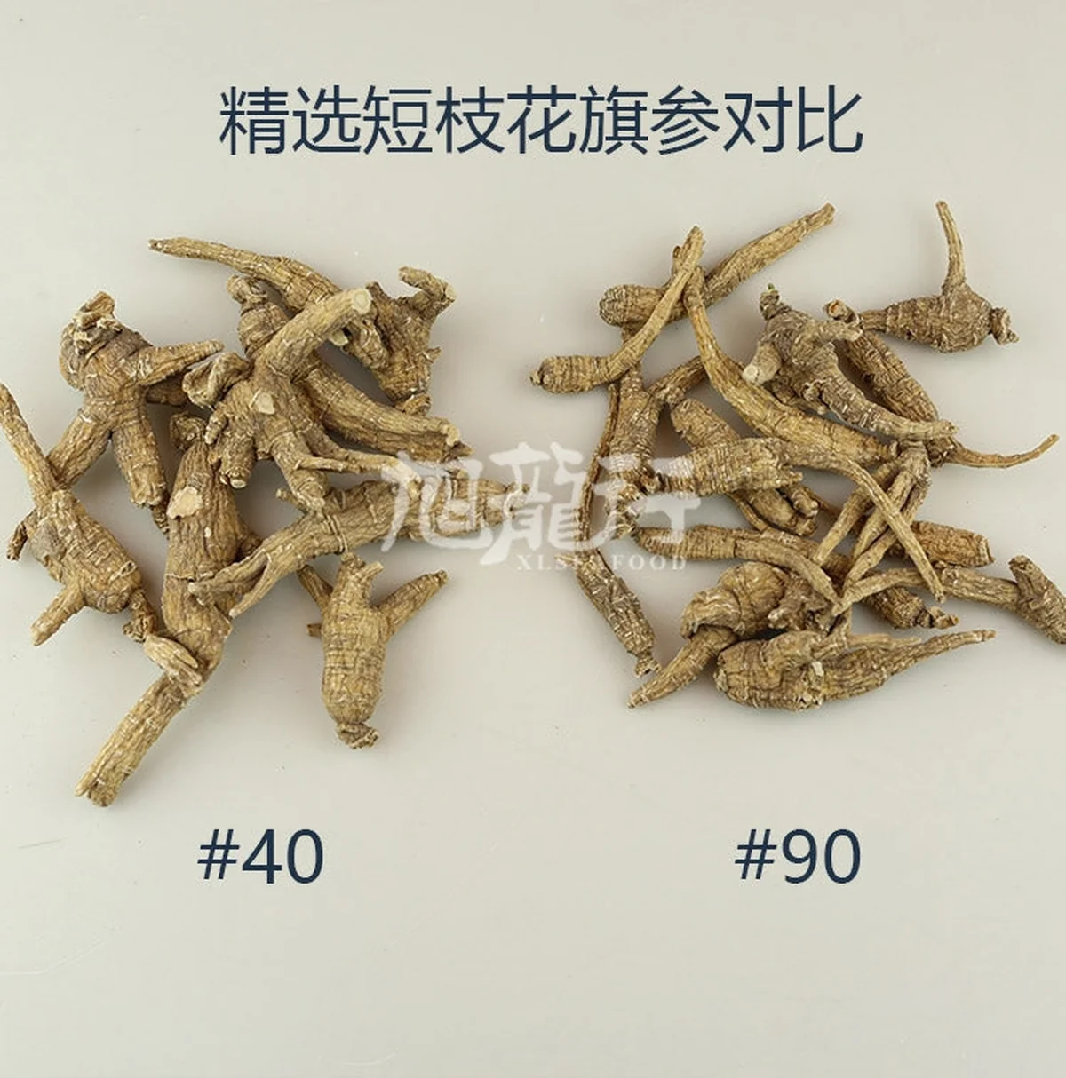 旭龙行 特级威州移种半野生 短枝花旗参3-5年参