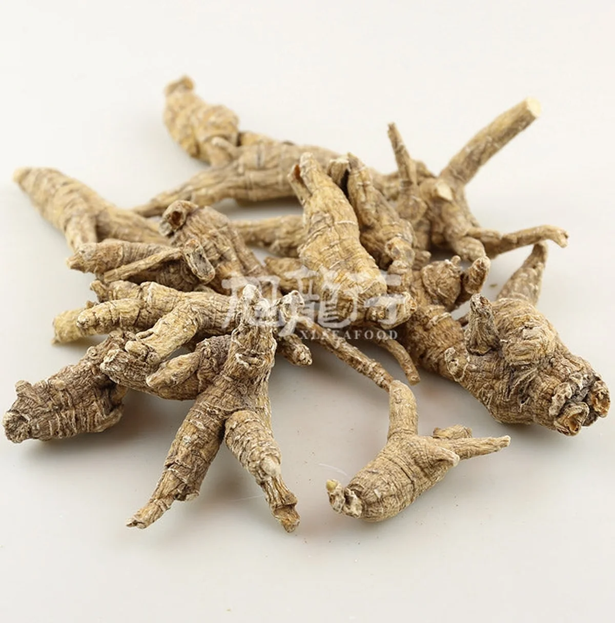 旭龙行 特级威州移种半野生短枝花旗参3-5年参 #90/#40 0.5磅