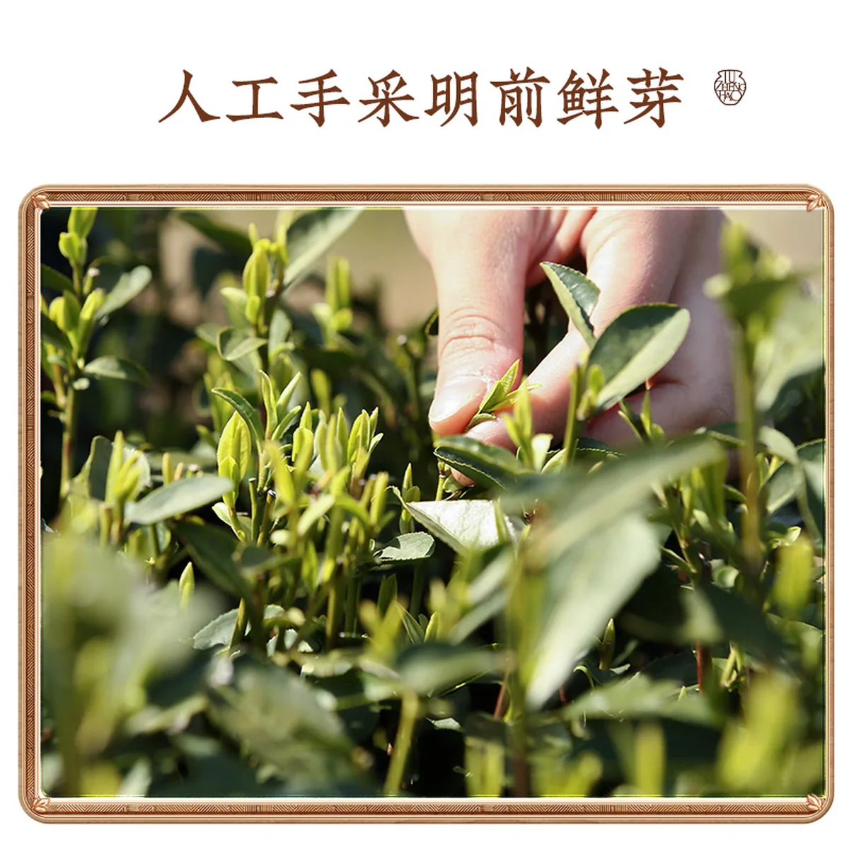 【下架】卢正浩绿茶狮字西湖龙井茶特级50g 2024新茶上市明前茶叶狮峰山罐装春茶
