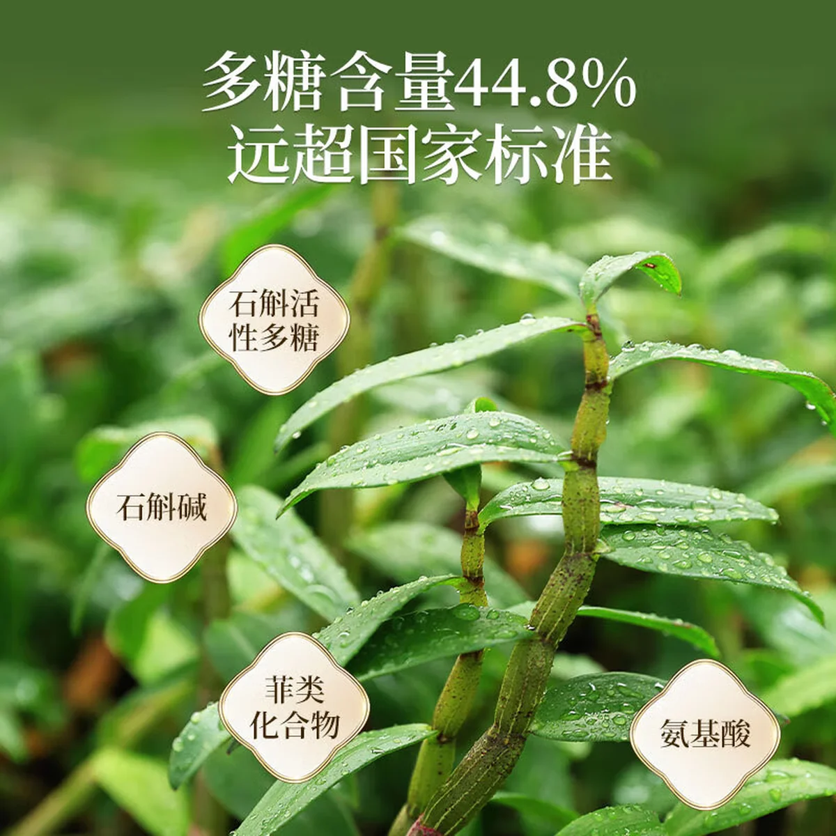 【中国直邮，时效10-15天】 天下泽雨 【送礼优选】安徽霍山石斛枫斗 3年生铁皮石斛 胶质丰富 送礼礼盒20g/50g
