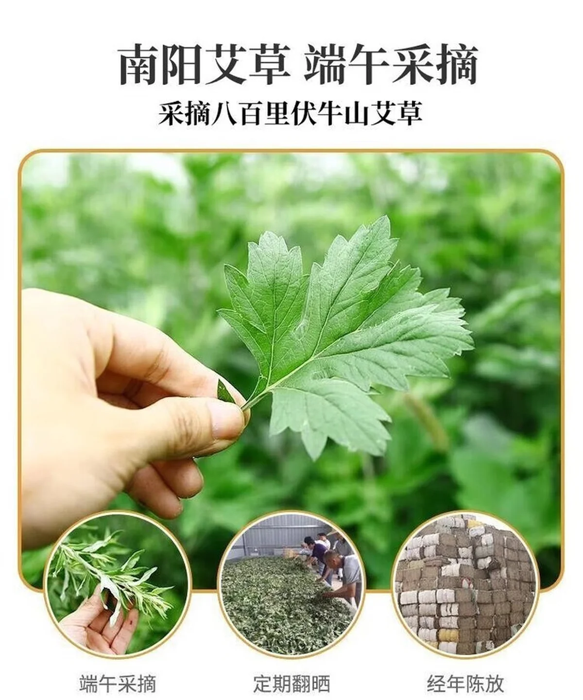 【下架】同仁堂 南京同仁堂艾草养生锤肩颈按摩捶背敲打按摩锤背腿部经络疏通手持按摩器 长款26cm