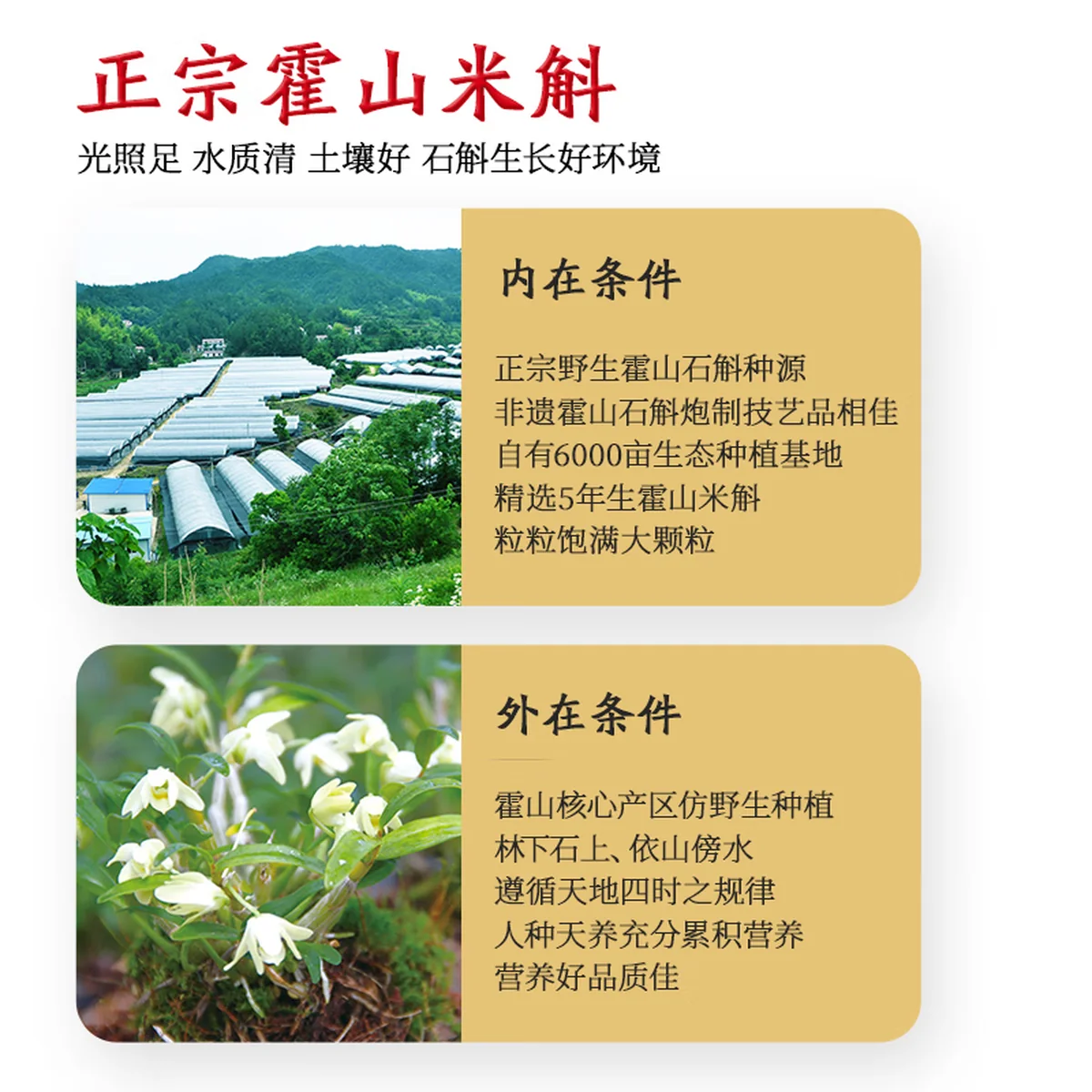 【中国直邮，时效10-15天】天下泽雨 【人气礼盒】精选霍山米斛枫斗礼盒装 20g 龙头凤尾 正宗霍山石斛米斛枫斗