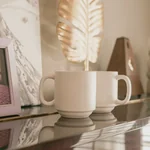 Zion Matte Mug Water Cup Matte Glaze Matte White 11oz