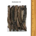 HSU’S Alaska Sea Cucumber Medium/Small 8oz/226g