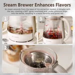 Buydeem Tea Extraction Health Pot, 1.5L Professional Tea Extraction Boiler, Multi-function Tea Brewing Pot K156