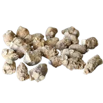 旭龙行 半野生花旗参 威州珍珠花旗参 3-6年生珍珠泡参 全修剪-中号 0.5磅