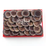 XLSEAFOOD Northeast China Jilin Sika Deer Antler Dry Tablets, Strengthen Kidney Yang, Replenish Essence, 38g (1.3oz)