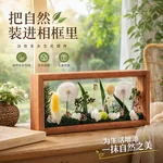 【Direct Shipping from China, Delivery in 8–20 Days】JoyFlower Preserved Dandelion Gift Box, Mother’s Day, Valentine’s Day, Birthday and Anniversary Gift, Green Dandelion Frame, Large