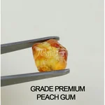 XLseafood Yunnan natural wild peach gum, nourish yin and blood, detox and beautify, boutique level