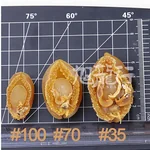 XLSEAFOOD Premium Australian lightly dried abalone
