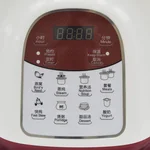SONYA SDZ-22EW 2.2L STEAMER/STEWER