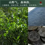 Baishaxi Anhua Dark Tea Six-Step Exquisite Tianjian Thin Slices 60g