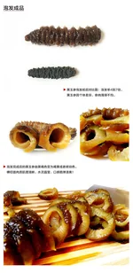 海参天下 淡干中美洲黑玉参 两种规格