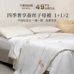 Wensli 100% mulberry silk warm quilt four seasons quilt mother and child quilt silk quilt - Fenglaiyi