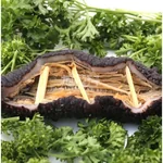 XLSEAFOOD Sun Dried Wild Caught Black pin Atlantic Sea Cucumber AAAA Grade