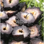 XLSEAFOOD Sun Dried Wild Caught Black pin Atlantic Sea Cucumber AAAA Grade