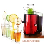 SKG Electric Juice Maker GS-306L