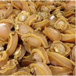 XLSEAFOOD Premium Australian lightly dried abalone