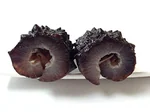 Haishentianxia Wild Black Spike Dried Atlantic Sea cucumber EU001