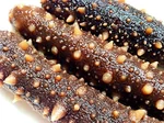 Haishentianxia Wild Alaska Red Dried Seacucumber 1LB RD001L
