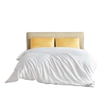 WENSLI 100% Organic Tussah Silk Quilt Core Winter Quilt Natural Sleep Warm and Breathable (2000g, 220cm×240cm)
