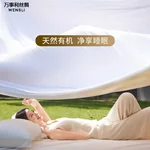 WENSLI 100% Organic Tussah Silk Quilt Core Winter Quilt Natural Sleep Warm and Breathable (2000g, 220cm×240cm)