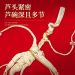 【中国直邮，时效7-15天】长白山人参 官方15年及以上野山参礼盒【附野山参鉴定证书】   礼盒装 5g*1盒
