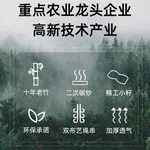 黄古林 凉席竹席夏季可折叠碳化麻将凉席 老式竹凉席子 无枕套 经典透气 1.8米床 200cm*180cm