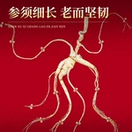 【中国直邮，时效7-15天】长白山人参 官方15年及以上野山参礼盒【附野山参鉴定证书】   礼盒装 5g*1盒