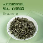 【中国直邮，时效7-15天】贵天下 2026明前新茶绿茶 都匀毛尖绿茶叶珍品茗茶芽茶贵州高山云雾100克