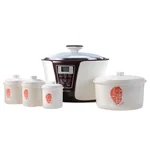 TIANJI DGD33-32EG INTELLIGENT  WATER BATH STEWER