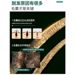 采药师牛角梳经络按摩梳 绿檀木头部按摩刷插齿指环梳子经络刷19钉