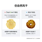 septree家用智能温控食物脱水机零食烘干机 DSC-08 操作简单