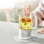 Bear Mini Portable Health Pot Tea Kettle HK-5L06P04, 316 stainless steel, heat preservation and pre-set function, 0.6L