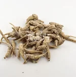 旭龙行 特级威州移种半野生 短枝花旗参3-5年参