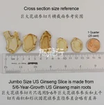 旭龙行 特级威斯康辛 半野花旗参(巨大)  5-6年生纯参头切片 4盎司 113克