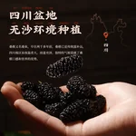 【中国直邮，时效5-12天】胡庆余堂桑椹干黑桑葚果干 泡茶泡酒 免洗无沙 250g*2瓶 共500g