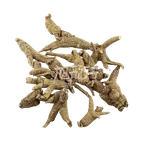 旭龙行 特级威州移种半野生短枝花旗参3-5年参 #90/#40 0.5磅
