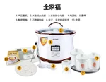 TIANJI DGD-18EG VERSATILE STEW/ SOUP MAKER