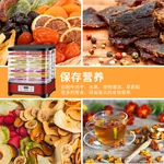 Cusimax 智能温控食物脱水机零食烘干机 CMDH-805S 智能控制面板 操作简单