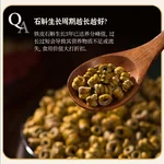 【中国直邮，时效10-15天】 天下泽雨 【送礼优选】安徽霍山石斛枫斗 3年生铁皮石斛 胶质丰富 送礼礼盒20g/50g