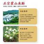 【中国直邮，时效10-15天】天下泽雨 【人气礼盒】精选霍山米斛枫斗礼盒装 20g 龙头凤尾 正宗霍山石斛米斛枫斗