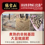 【中国直邮，时效7-15天】张宝山 铁棍山药粉600g 怀山药干粉早餐代餐粉送礼老年人营养品河南特产