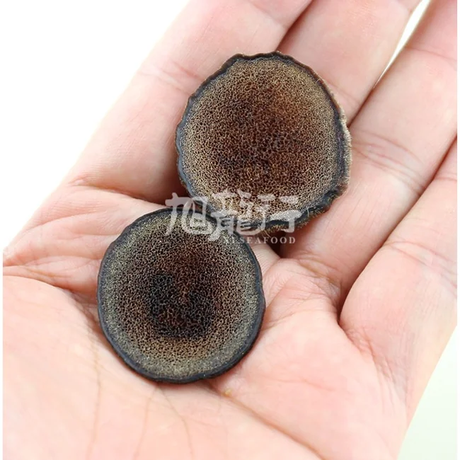 滋补珍品·旭龙行中国东北吉林梅花鹿鹿茸干片壮肾阳补精髓38g（1.3oz）