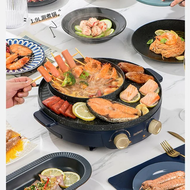 Joydeem Electric Stove Multi functional Pot with Cooking and