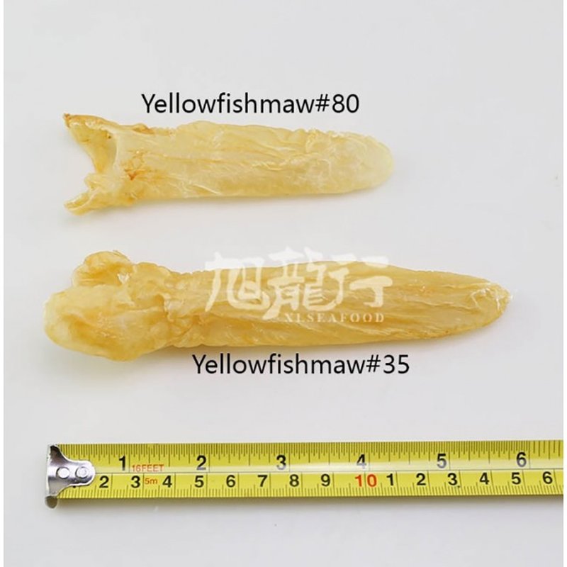 旭龙行 特级非洲野生淡干花胶筒 胶原蛋白鱼鳔鱼肚 8oz