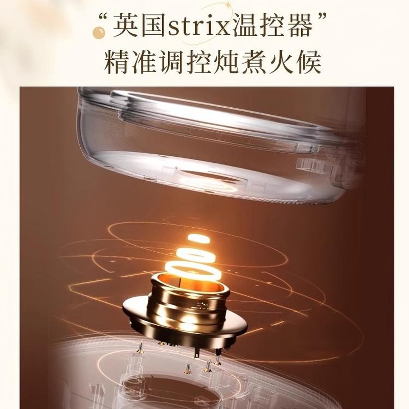 Bear小熊轻音小气泡养生壶煮茶壶 办公室小型炖煮一体养生壶 1.5L