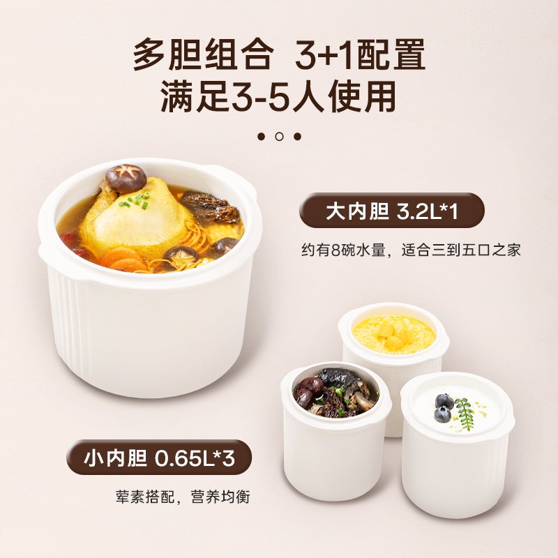 Tianji天际 隔水电炖锅大容量电炖盅 隔水锅炖汤锅 DGD32-32CG 适合3-5口之家